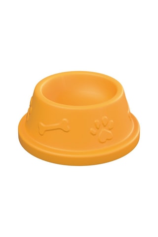 Set cuccia con golden retriever - Da 3 anni