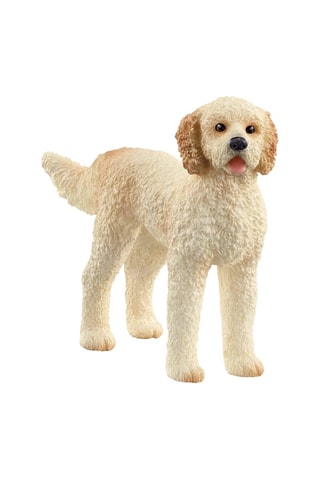 Cane Goldendoodle Farm World - Da 3 anni