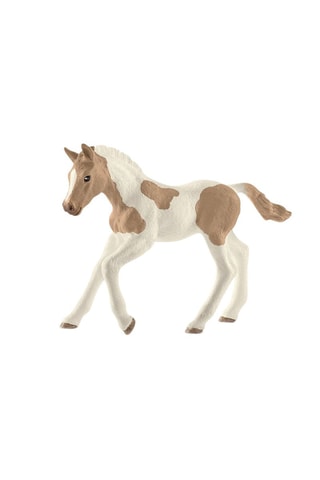 Puledro Paint Horse Horse Club  - Da 3 anni