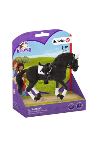 Stallone Frisone da concorso - Da 5 anni