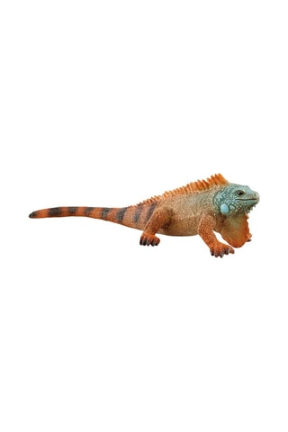 Iguana - Da 3 anni