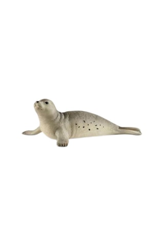 Foca - Da 2 anni