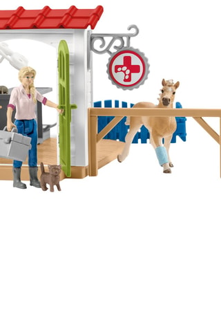 Cofanetto clinica veterinaria con animali - Da 3 anni