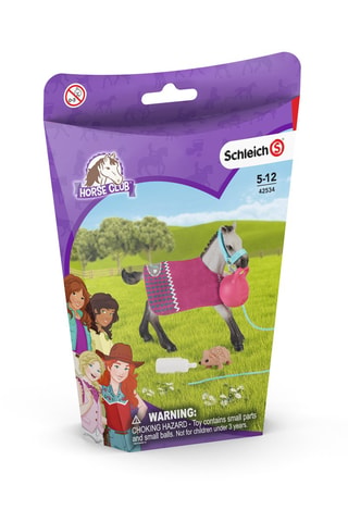 Puledro giocatore - Da 5 anni