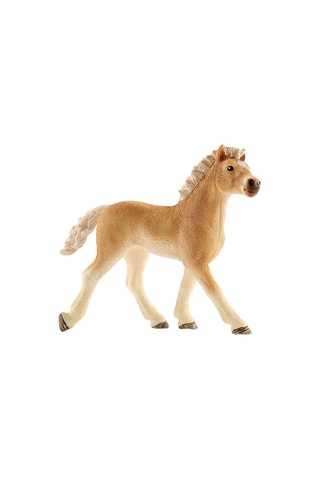 Puledro Haflinger Horse Club - Da 3 anni