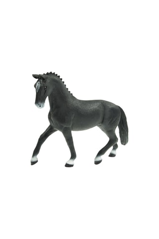 Giumenta hannover Horse Club - Da 5 anni