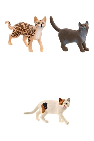 Chat bengal, Chat americain shorthair Farm World et British shorthair Farm World - Dès 3 ans