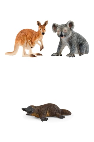 ##Koala Wild Life, Ornithorynque Wild Life et Kangourou Wild Life - Dès 3 ans