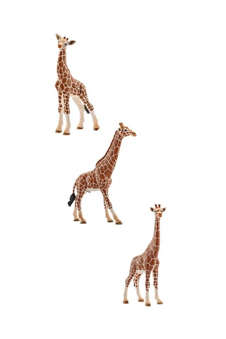 ##Girafe femelle Wild Life, Girafe mâle Wild Life et Bébé girafe Wild Life - Dès 3 ans