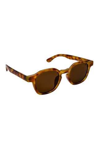 Occhiali da sole polarizzati unisex e catenina - Categoria 3 - Marrone