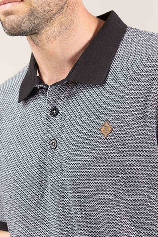Polo - Cinzento - Preto, castanho e cinzento