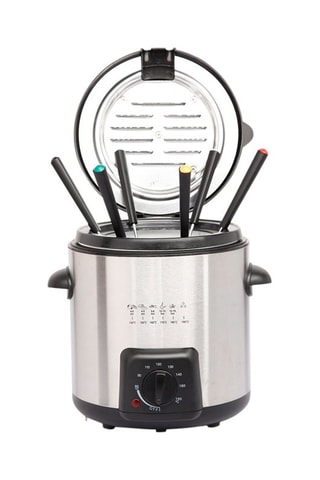 Friteuse électrique 2-en-1 en acier inoxydable