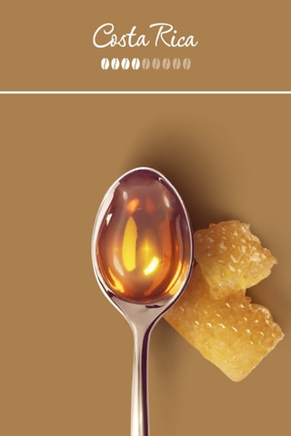 6 dozen Koffiebonen Koffie Arabica Selection Costa Rica - 250 g