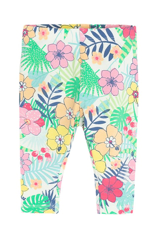 Legging - Vert