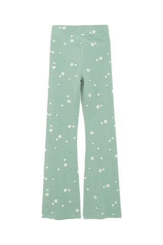 Legging -  Vert clair