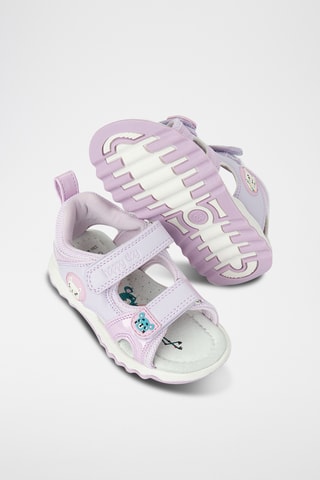 Sandales - Mauve