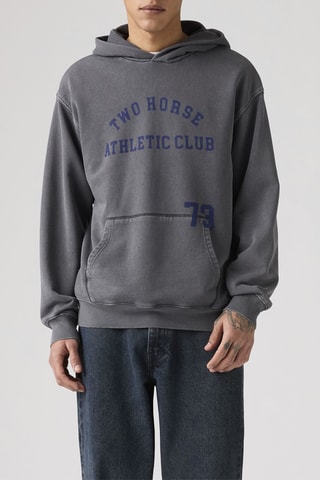 Sweat à capuche Horse boxy - Gris