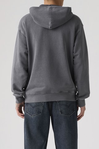 Sweat à capuche Horse boxy - Gris