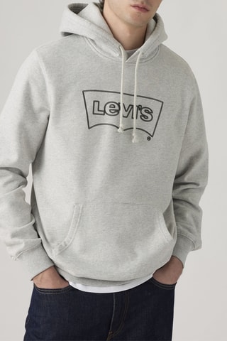 Sweat à capuche Standard - Gris clair