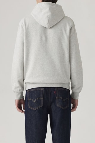 Sweat à capuche Standard - Gris clair