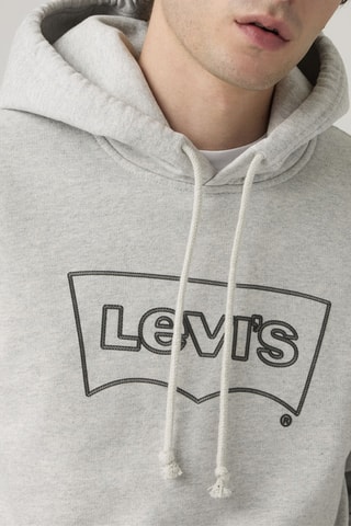 Sweat à capuche Standard - Gris clair