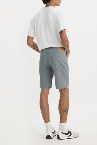Bermuda Standard - Grigio chiaro