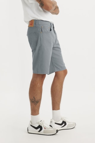 Bermuda Standard - Grigio chiaro