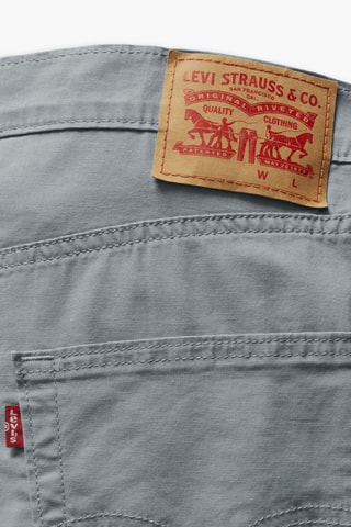 Bermuda Standard - Grigio chiaro
