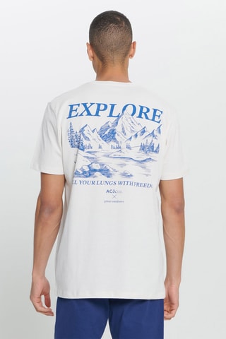 T-shirt regular - Cinzento-claro