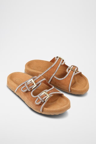 Mules - Camel