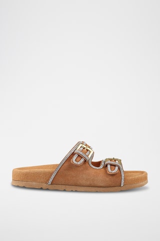 Mules - Camel