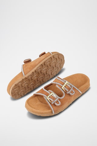 Mules - Camel