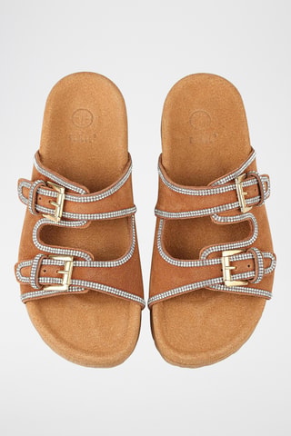 Mules - Camel