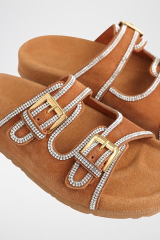 Mules - Camel