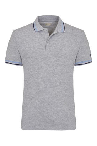 Polo - Gris