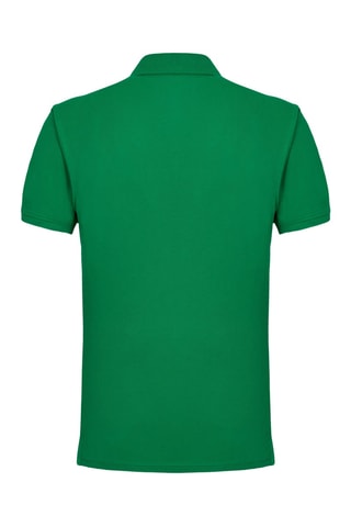 Polo - Vert