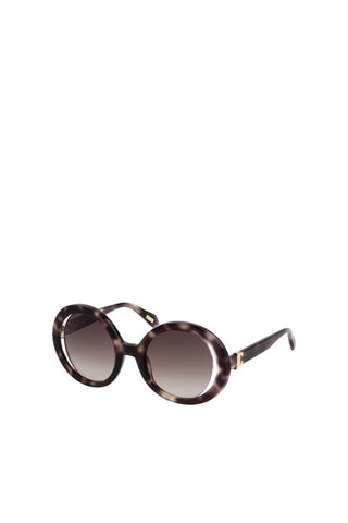 Lunettes de soleil femme - Catégorie 2 - Just Cavalli - Beige et marron