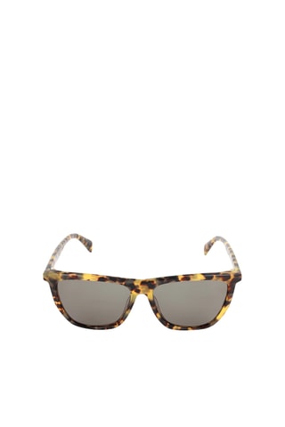 Lunettes de soleil mixte - Catégorie 3 - Just Cavalli - Marron