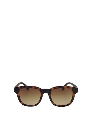 Lunettes de soleil homme - Catégorie 3 - Lacoste - Marron