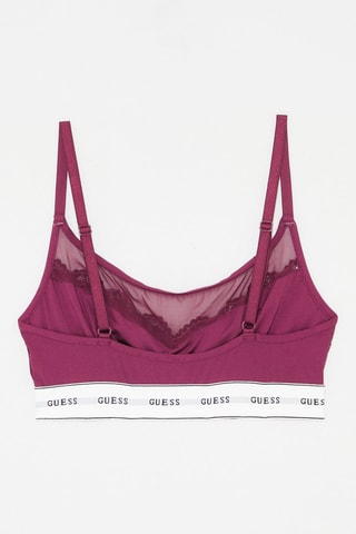 Brassière Bordeaux