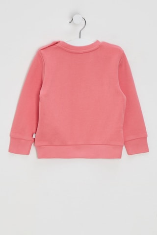 Sweat - Fuchsia