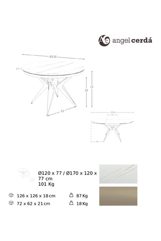 Table à manger en porcelaine - 120 x 120 x 77 cm