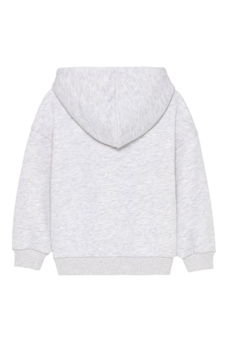 Sweat à capuche - Gris clair chiné