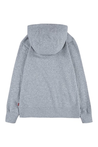 Sweat zippé - Gris