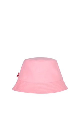 Bob - Rose