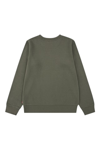 Sweat - Blanc, beige et vert
