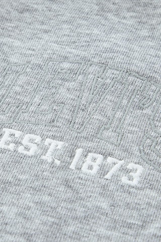 Sweat à capuche - Blanc et gris