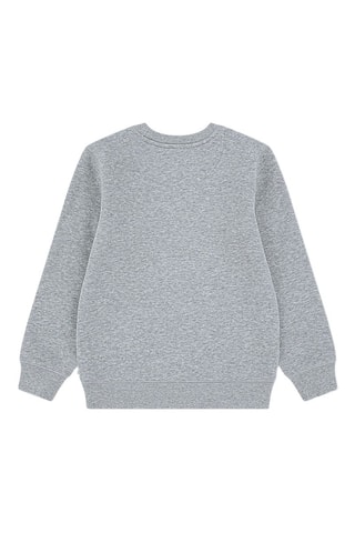 Sweat - Vert et gris