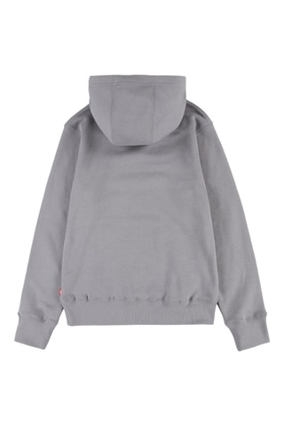 Sweat à capuche - Gris