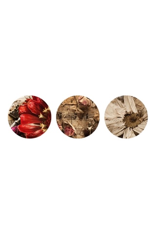 3 Wanddecoraties - 3 x (30 x 30 cm)